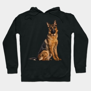 Beautiful German Shepherd Dog Hoodie